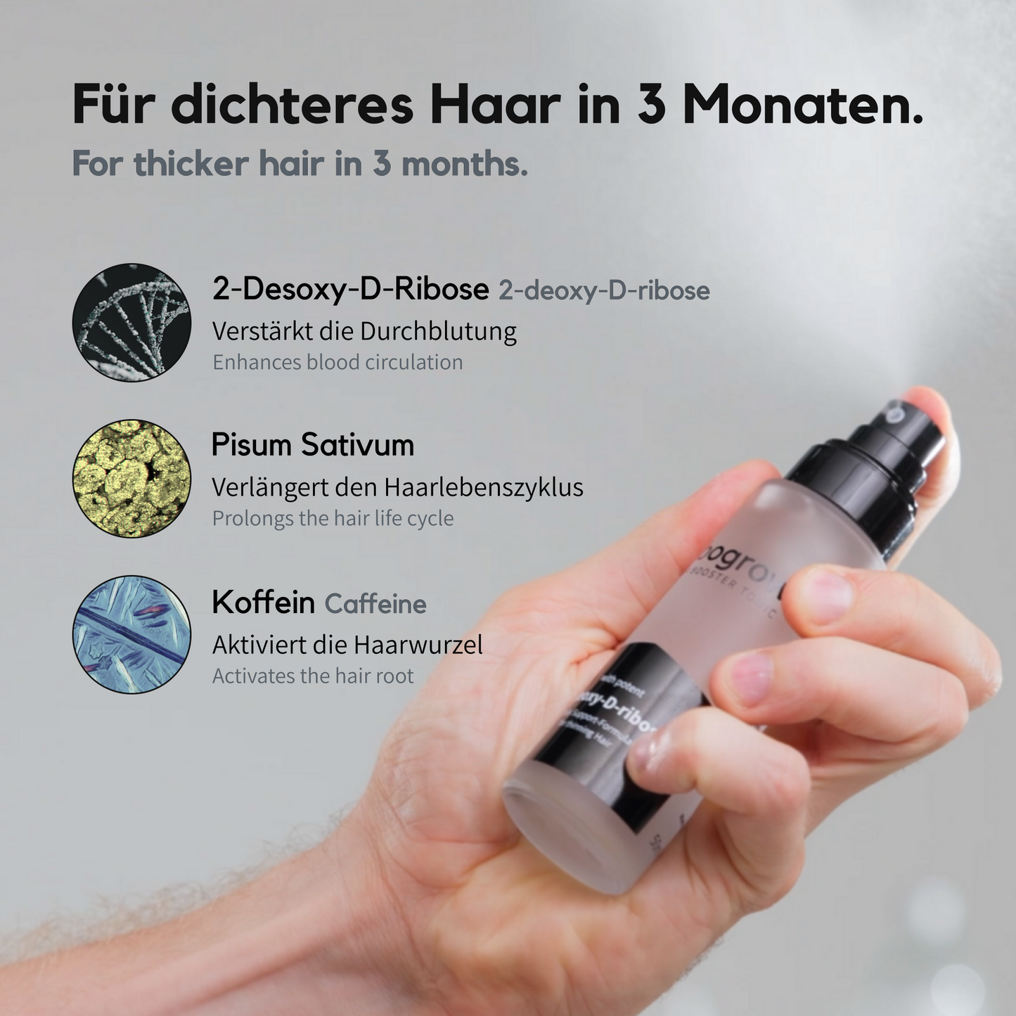Zeigt das ribogrow Hair Booster Tonic in der Hand eines Mannes mit den Inhaltsstoffen und einzelnen Effekten der Inhaltsstoffe. 2-Desoxy-D-Ribose verstärkt die Durchblutung, Koffein aktiviert die Haarwurzel, Pisum Sativum verlängert den Haarlebenszyklus