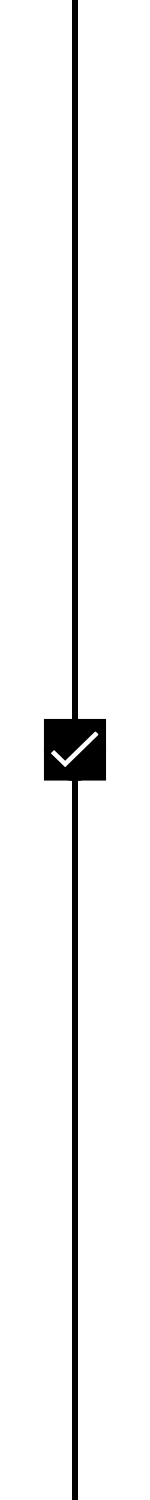 Timeline Line