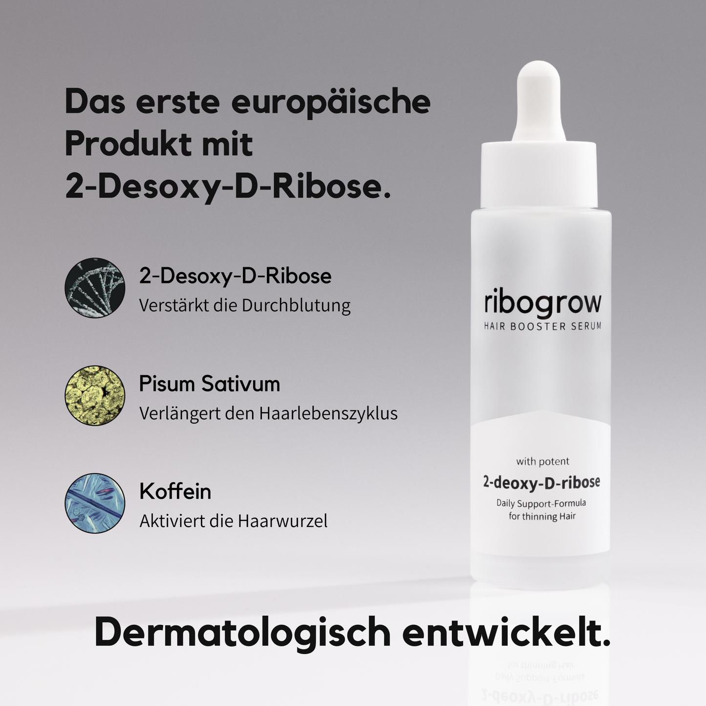 ribogrow Hair Booster Serum im weißen Glasflakon mit Pipette. Links die drei Hauptwirkstoffe: 2-Desoxy-D-Ribose zur verbesserten Durchblutung der Kopfhaut, Pisum Sativum zur Verlängerung des Haarzyklus und Koffein zur Aktivierung der Haarwurzel. Überschrift: ‚Das erste europäische Produkt mit 2-Desoxy-D-Ribose‘, unten der Hinweis ‚Dermatologisch entwickelt‘. Darstellung betont Innovation und Wirksamkeit gegen Haarausfall.